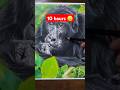 YouTube Won't Like This Video... #shorts #art #drawing
