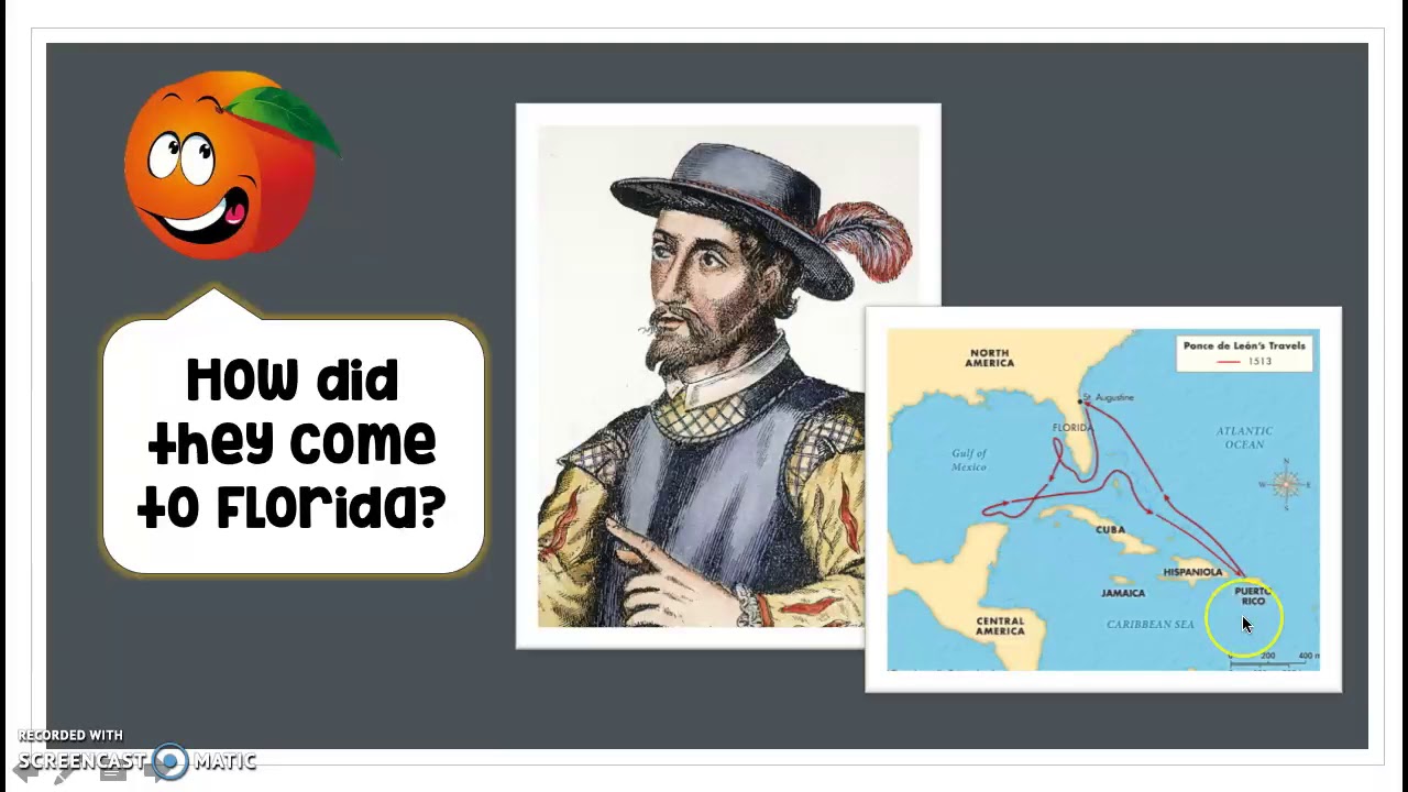 Florida Orange Groves