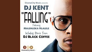 Falling (feat. Malehloka Hlalele)