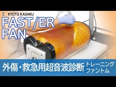 【あきさん専用】救急超音波診療ガイド[Web動画付] あきさん専用】救急超音波診療ガイド[Web動画付] 救急超音波診療