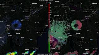 Bird anomaly on NWS weather radar screenshot 3