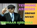 Teshome assegid  bishaan abbayyaa  oromo music