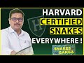 Harvard certified snakes everywhere! MR. Venkatesh