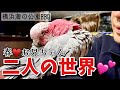 お兄ちゃんへの愛が強すぎてママは無視!?海の公園BBQと春ちゃんの帰宅拒否w【おしゃべりモモイロインコ】