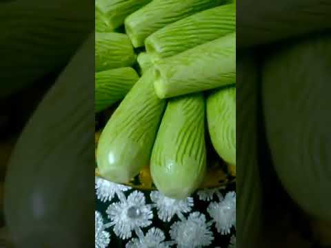 فوائد واضرار الكوسة