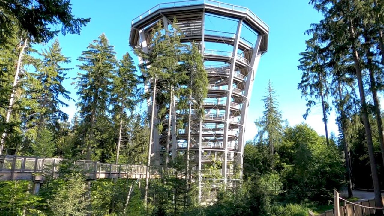 Ścieżka w koronach drzew  Karkonosze Jańskie Łaźnie Czechy - 4K