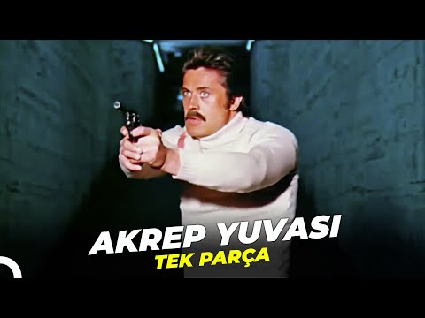 Akrep Yuvası | Cüneyt Arkın - Banu Alkan Eski Türk Filmi Full İzle