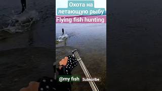 охота на летающую рыбу попадание на лету flying fish hunting slingshot fishing amazing fishing