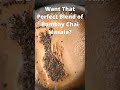 Bombay Chai Masala with Masala Drops