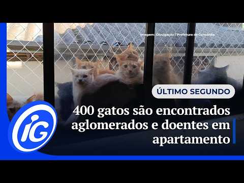 400 cats found crowded and sick in apartment