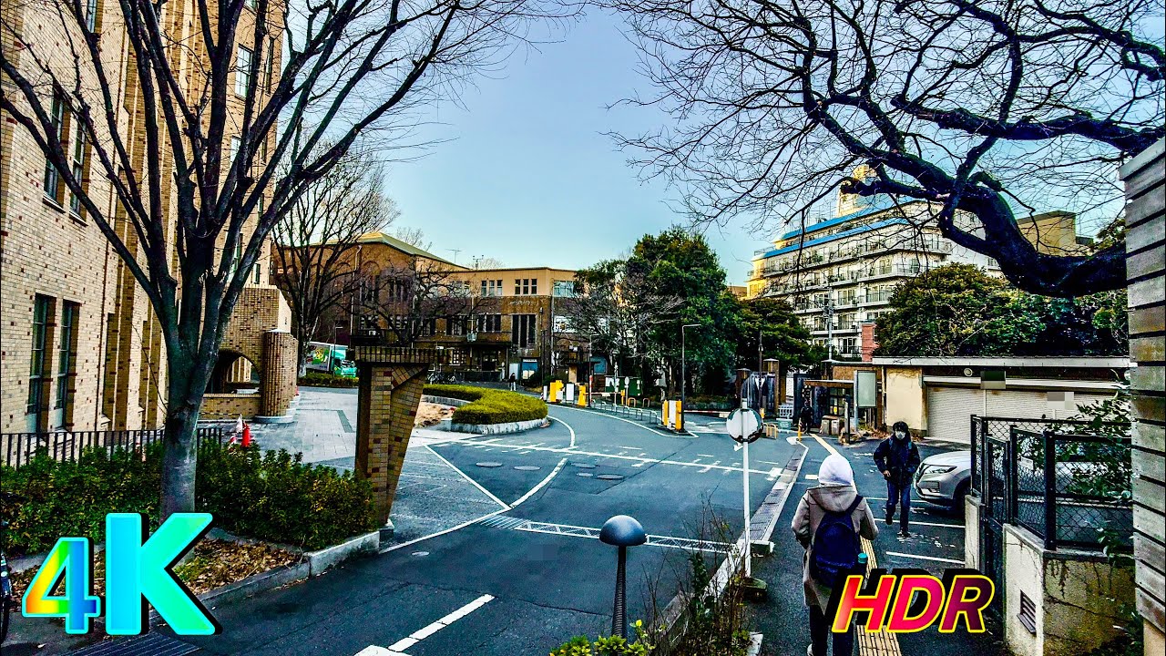 Exploring Nezu, Tokyo: Japan’s Historic Neighborhood, a frame from the walk