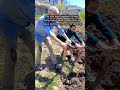 Traditional Soil Tilling With Hand Tools
