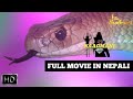 Naagmani 2022 full nepali movie  naagin  latest superhit movie  naag money  the broseries