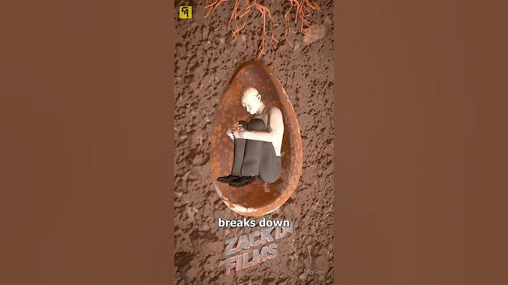 How Tree Pod Burials Work 🤔