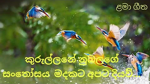 කුරුල්ලනේ නුබලගේ සංතෝසය මදකට අපට දියව්..