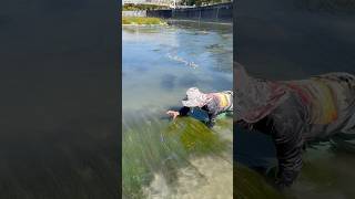 Silently crawl into the ground to catch the fish #fishing #viralvideo #viralvideo #shorts #amazing