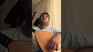 Kınamayın Aklım Yitirdiğime Resimi