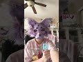I LOVE HIM SMMMM :: #fypシ #viral #fypシ゚viral #furry #therian #otherpaw