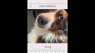 FitBark 2 Setup & Pairing – Track Dog Activity, Sleep & Health (Australian Shepherd with Allergies) screenshot 2