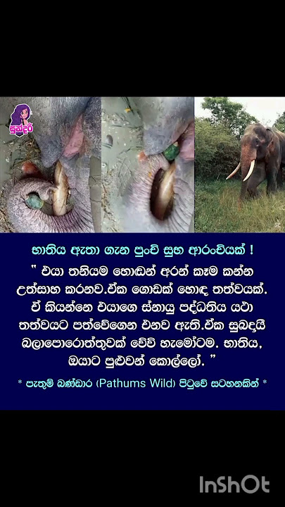 අනේ ලොකු දෙයක් ❤️