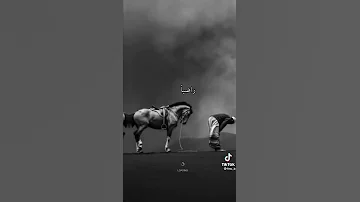 حالات واتس اب أذا المرء لم يرضى بما ربه وهب 