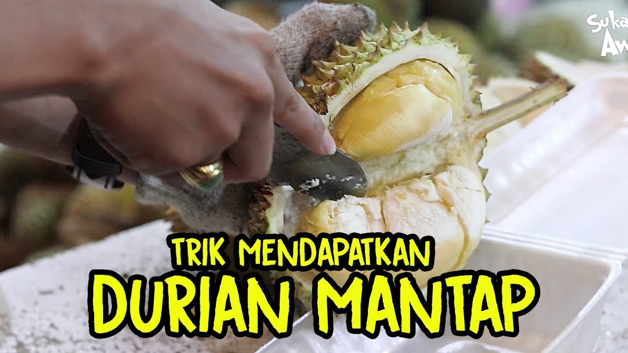 Awas Kena Zonk Begini Cara Memilih Durian Yang Benar Tips Awak