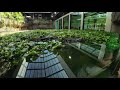 First look: Renovated Reptile House at the Toledo Zoo reopening Friday