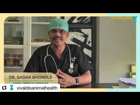 Animal Medical Services Veterinary Clinic & Diagnostics