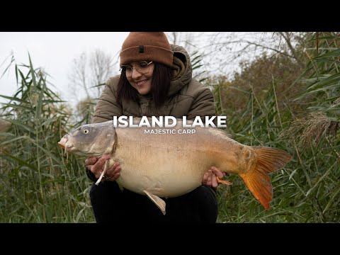 Island Lake – Majestic Carp