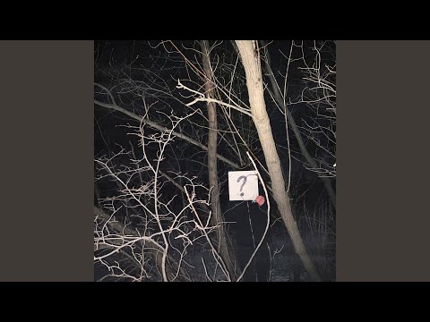 smartboymode - вопросы на ответы