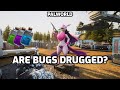 Palworld: Are The Bugs Drugged? | Palworld Drugs Tested &amp; Explained.