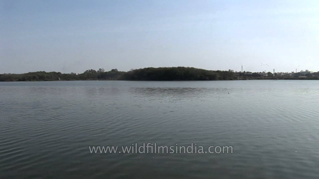 Siddheshwar Lake of Solapur