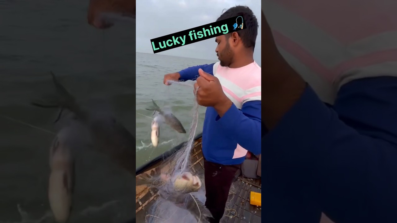 river fishing/ cast net fishing 