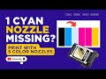 Cyan Nozzle Missing? How to Print with 5 Color Nozzles!