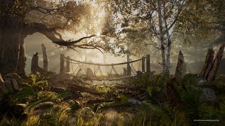 Magic Swamp created with Unreal Engine 4.24