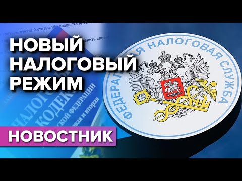 Видео: Подходит ли визг для малого бизнеса?