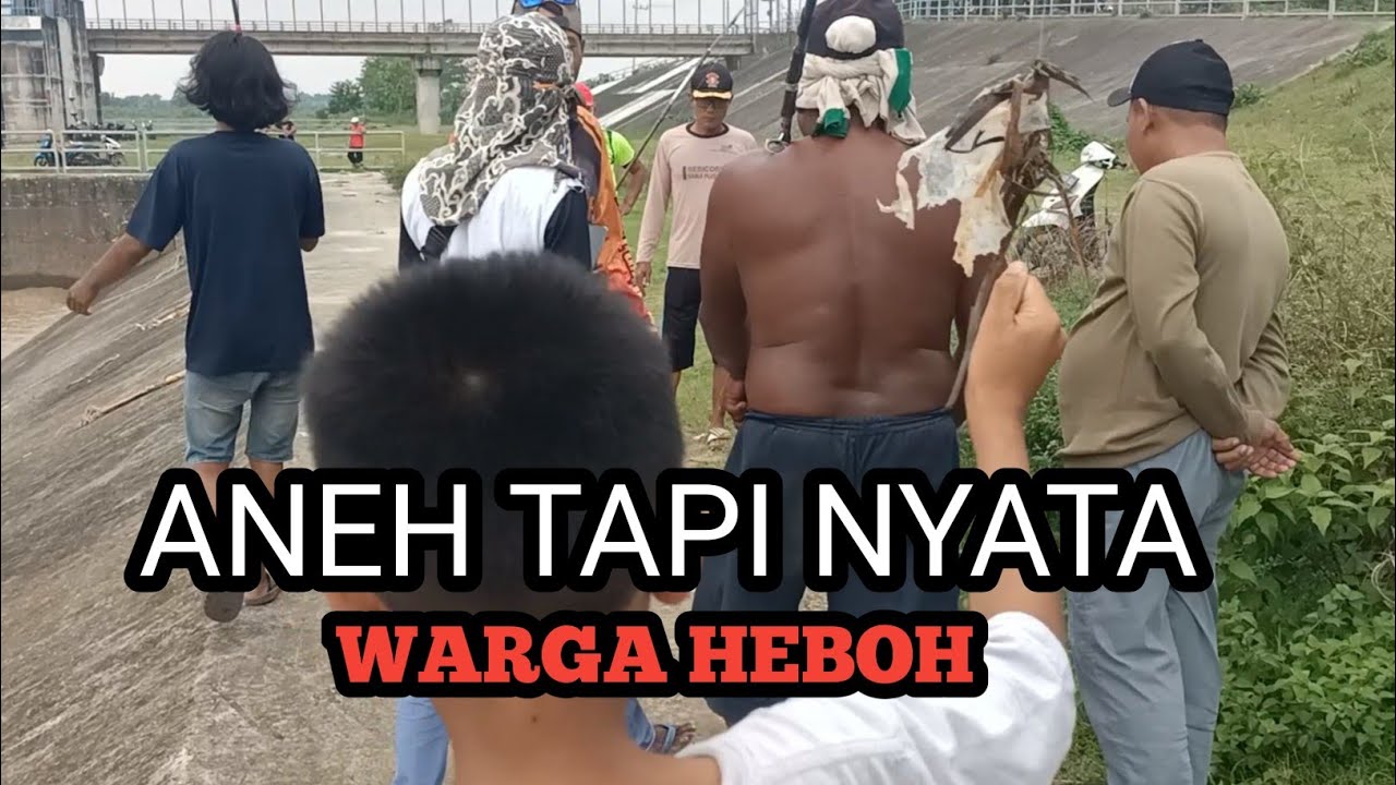 GEMPARKAN WARGA SATU KAMPUNG IKAN BESAR SAK BANTAL² BERMUNCULAN DI PINTU AIR BENDUNG GERAK