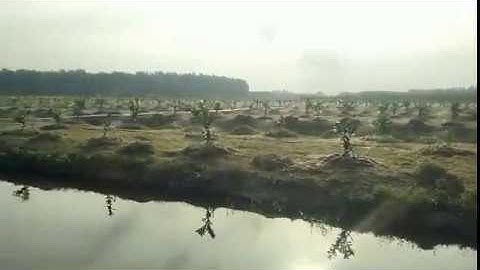 Hệ thống tưới phun mưa cục bộ cho hơn 5000 cây Bưởi da xanh 0938868617