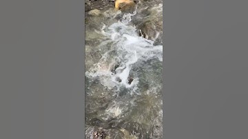 Amazing Big Water Vortex Experiment!? #whrilpool #experiment #experiments #vortex #waterexperiments