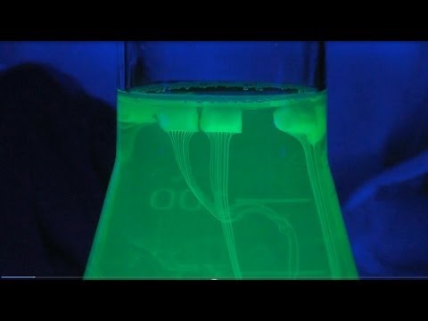 Video: Warum ist Fluoreszenz empfindlicher als UV?