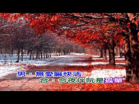 江蕙VS施文彬-傷心酒店