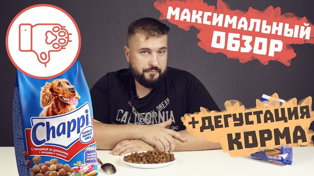 Влажный и сухой корм для собак Чаппи: плюсы и минусы, ассортимент готового питания с описанием состава