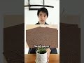 How SandPaper was Made in EDO PERIOD in Japan? #plant #shorts #edo