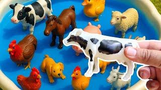 🐶🐱 Aprende los Nombres de los Animales 🐘🦁 | Video Educativo para Niños