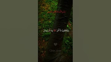 سورة البقرة الآية(27)