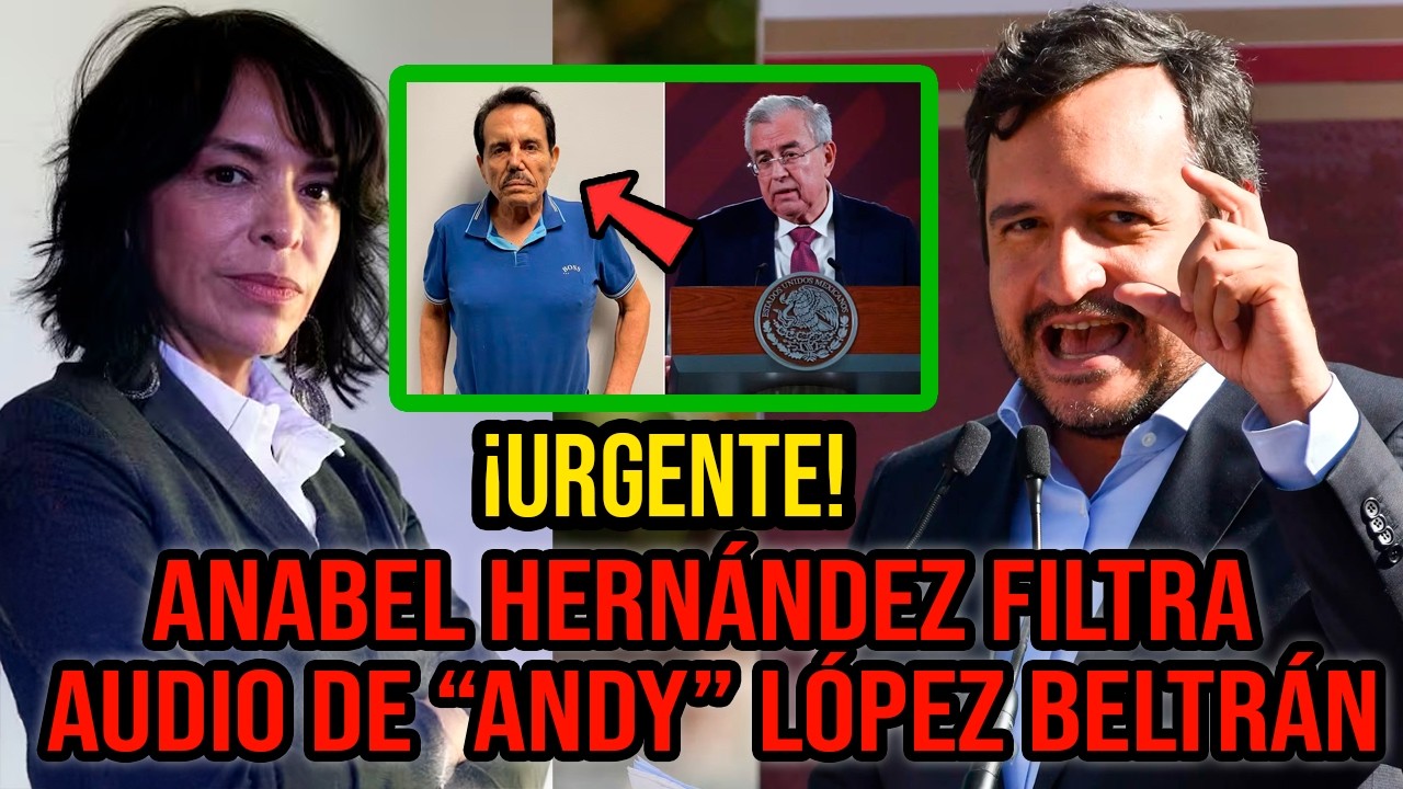 ANABEL HERNÁNDEZ REVEALS ANDY LÓPEZ BELTRÁN'S DEADLY BETRAYAL OF MAYO  ZAMBADA AND ROCHA MOYA - YouTube