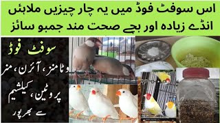 Finches Java Sparrow breeding formula|| best soft food in breeding season For birds| Asif Birds Farm