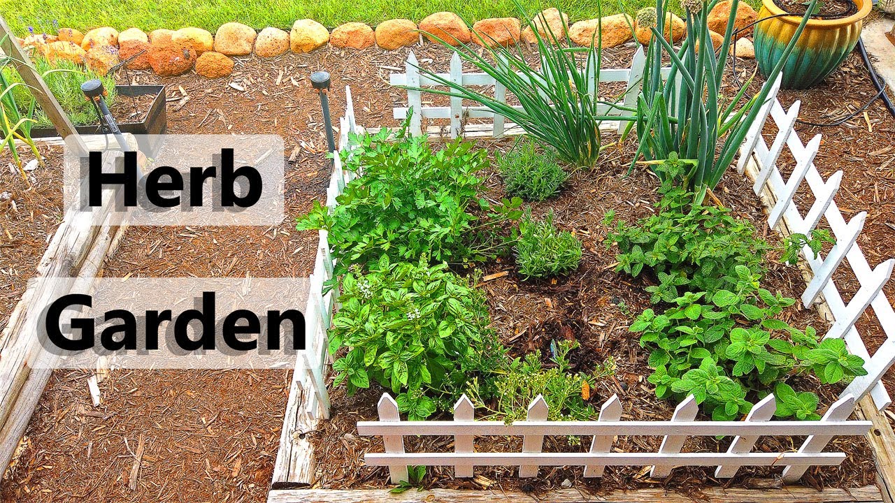 Herb Garden YouTube