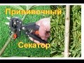 Прививочный секатор из Китая