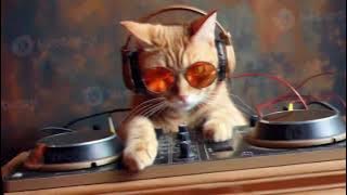 DJ RAD-Z ROJAK MIXTAPES VOL 1